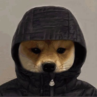 sigma3xfn profile picture